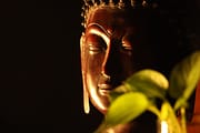 services-02 Close-up of a Buddha statue with soft plant leaves in a warm, serene ambiance.