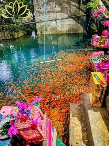 đền chín giếng
