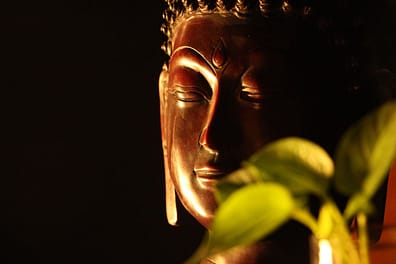 contact-img Close-up of a Buddha statue with soft plant leaves in a warm, serene ambiance.