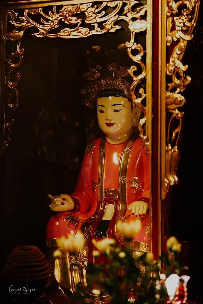 Co Chin tuong 1.jpg (280 kB) Co_Chin_tuong_1