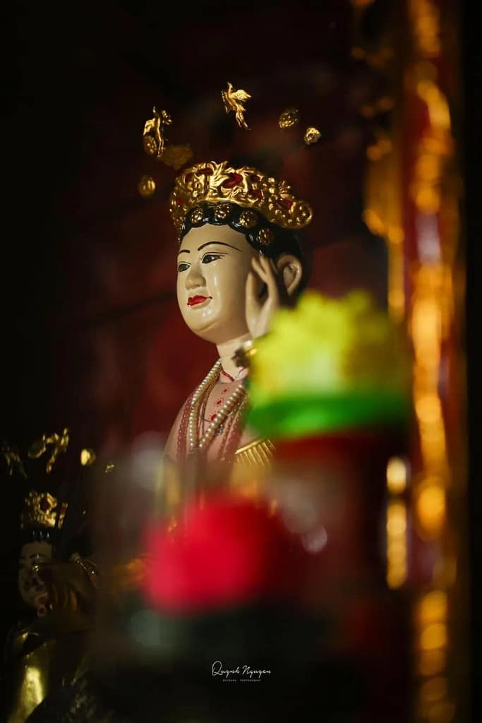 Co Chin tuong 4.jpg (73 kB) Co_Chin_tuong_4
