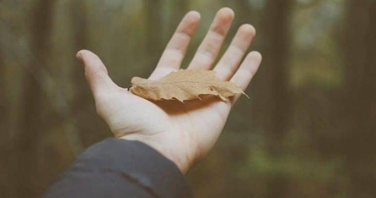 Hồng Trần Chính Là Đạo Trường Rộng Lớn, Tu Hành Đâu Nhất Thiết Phải Ở Núi Sâu