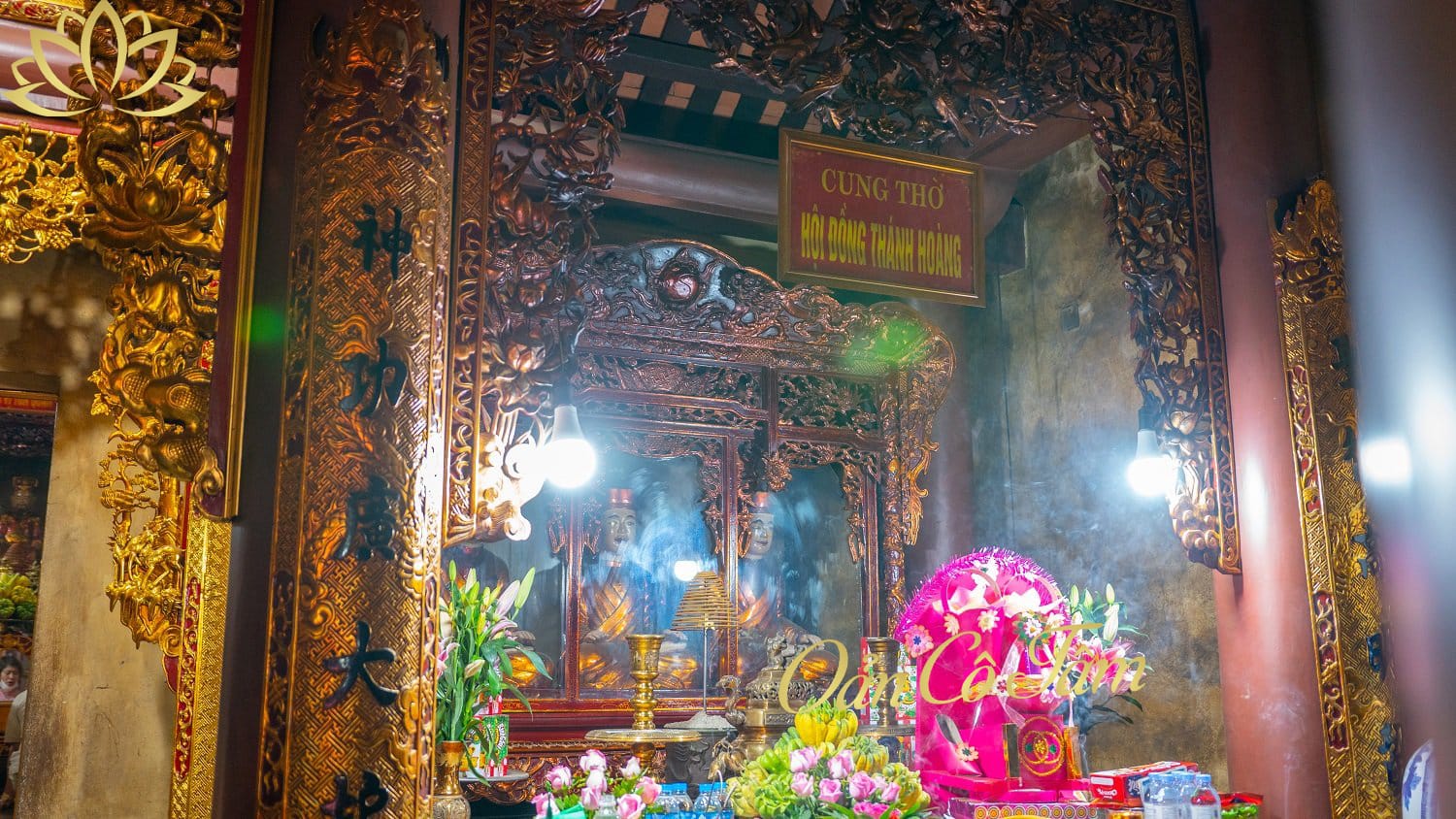 Cô chín sòng sơn