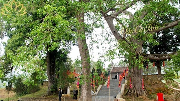 ông hoàng bát nùng