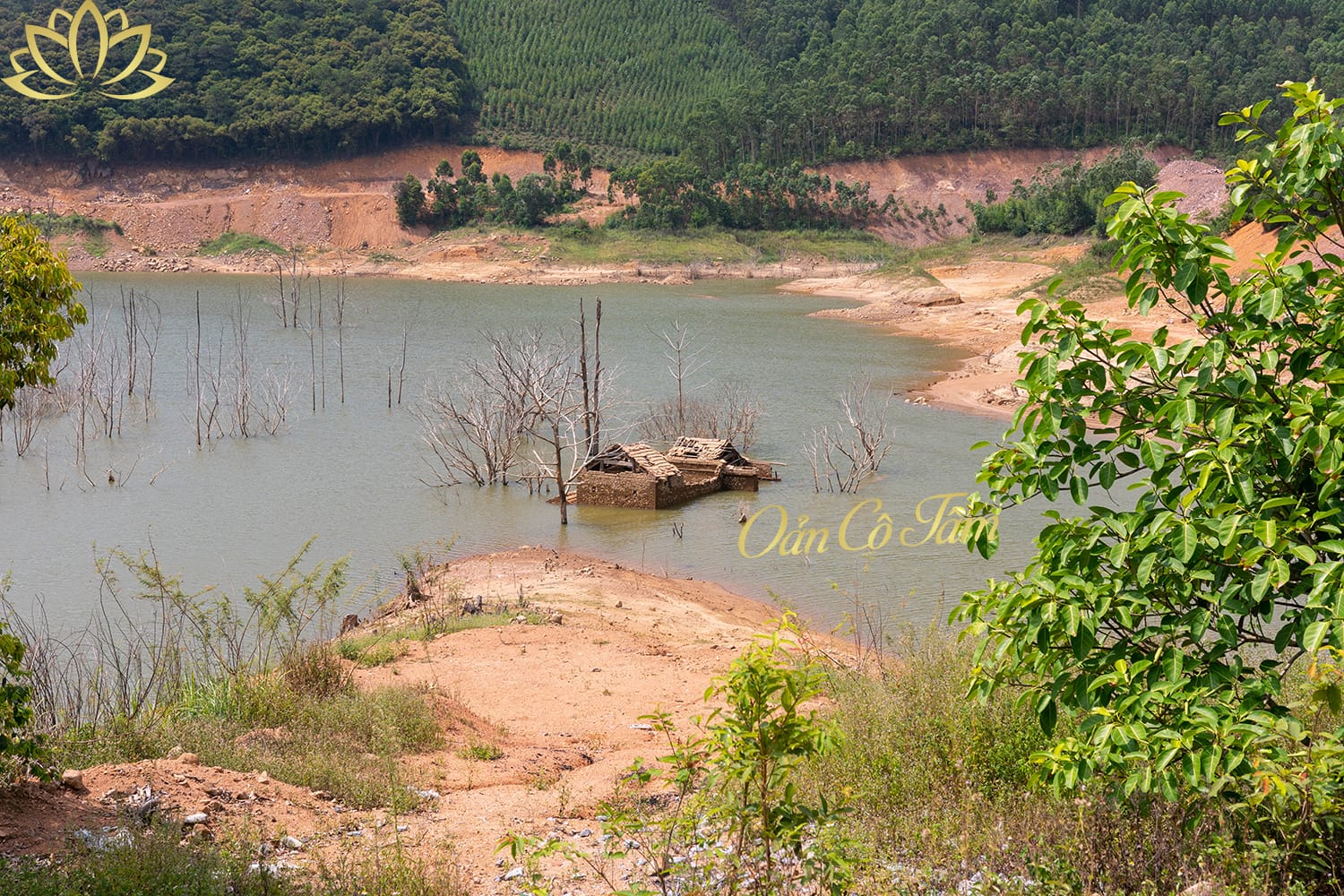đền suối mỡ