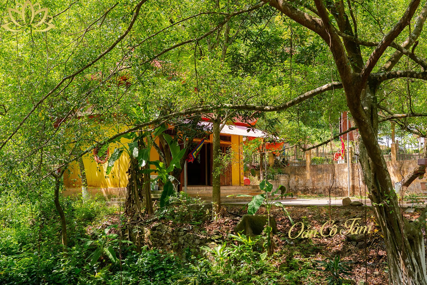 đền suối mỡ
