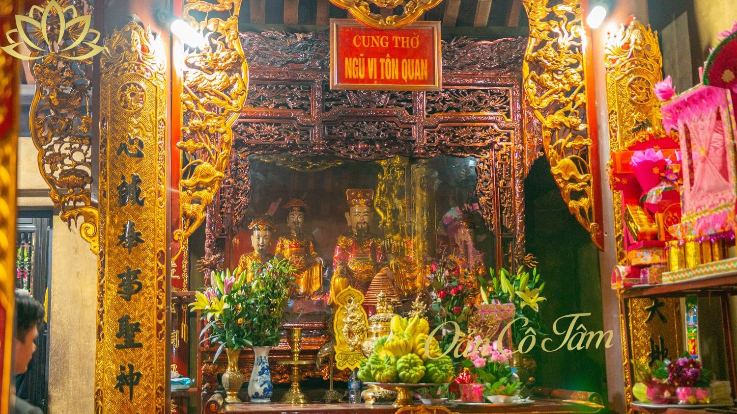 cô chín giếng