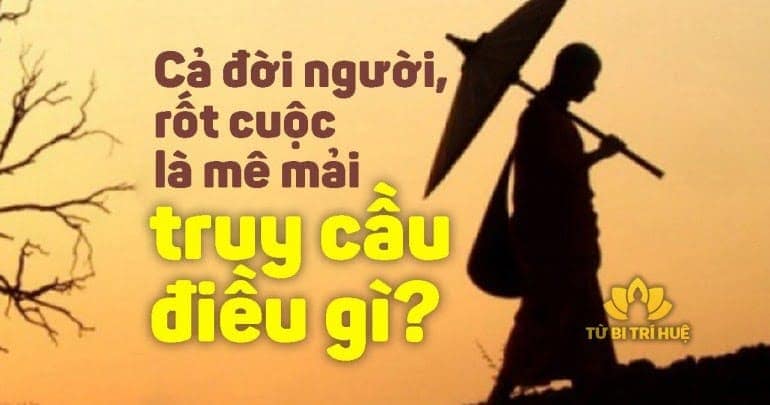 Cả Đời Người, Rốt Cuộc Là Mê Mải Truy Cầu Điều Gì?