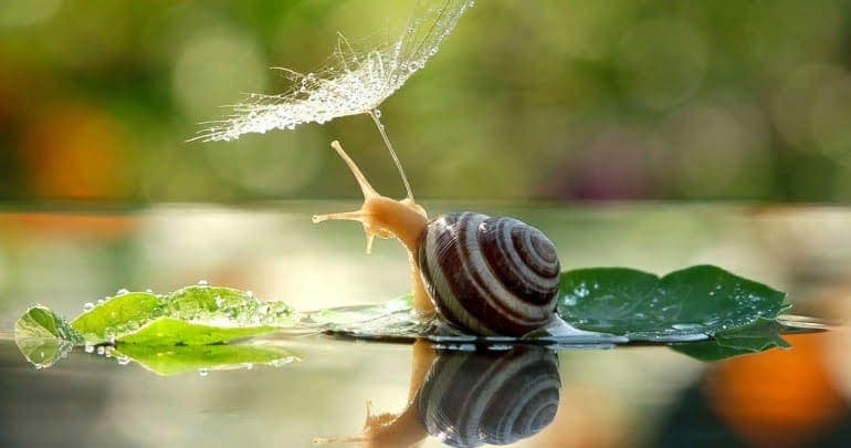 Chúng Ta Vì Sao Phải Lựa Chọn Làm Người Tốt?