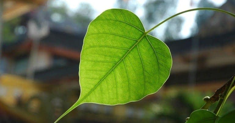 Tuyệt Vọng Đôi Khi Chính Là Bước Ngoặt Cho Một Khởi Đầu Vững Chắc