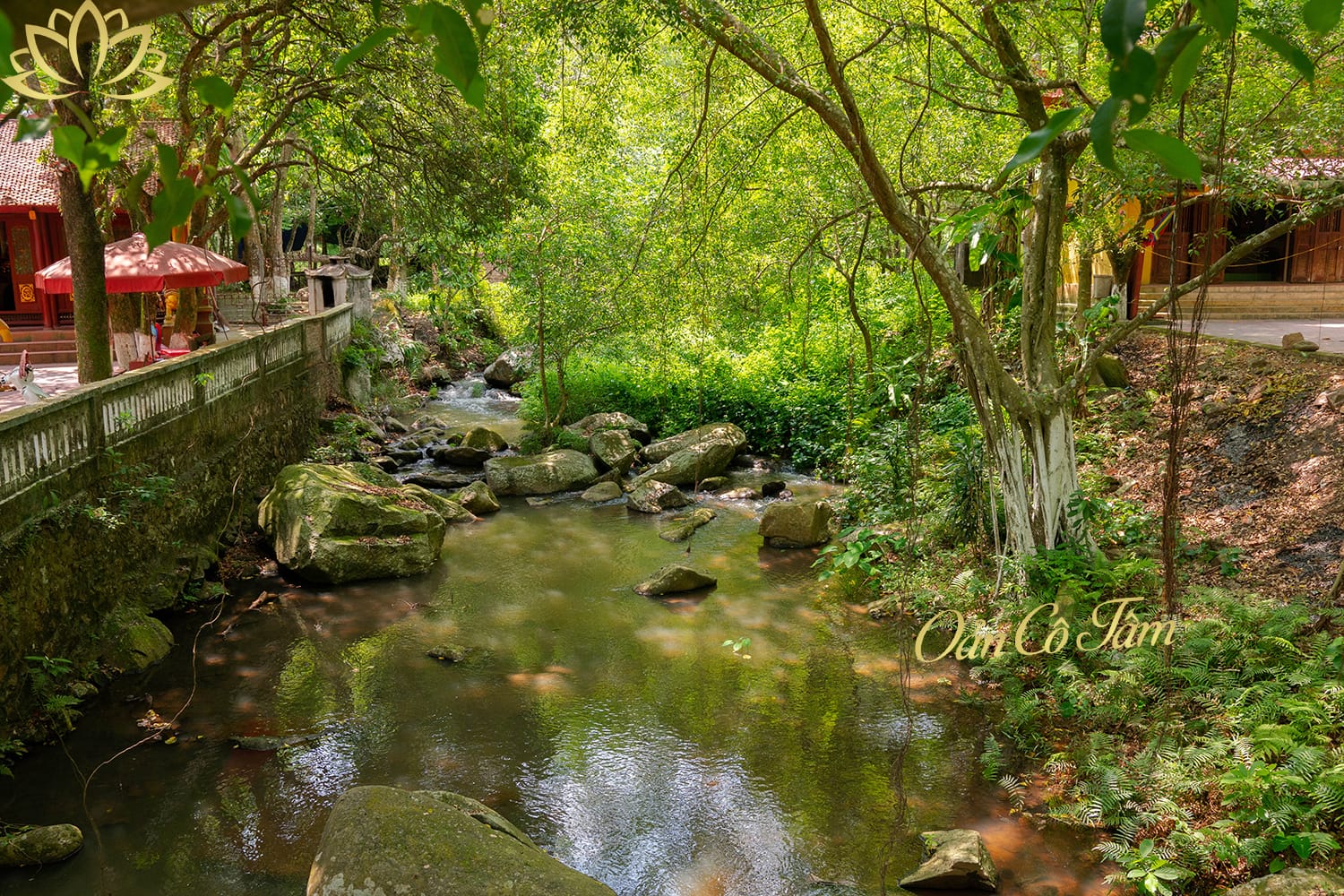 đền suối mỡ